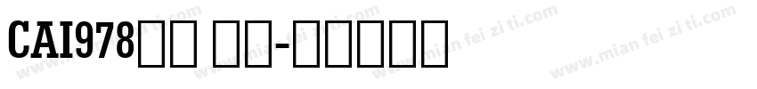 CAI978粗体 斜体字体转换